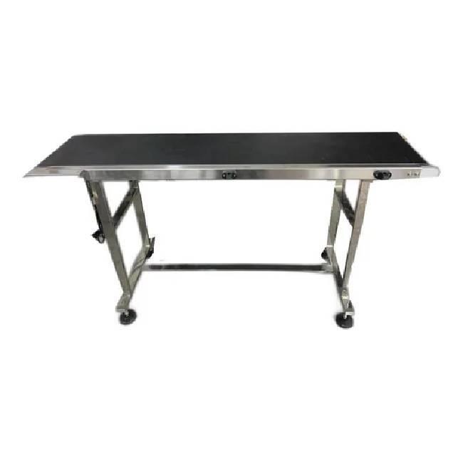 Batch Coding Conveyor Equipment