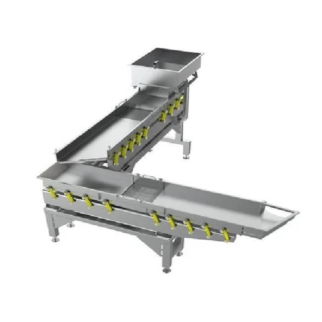Belt Vibrating Conveyor Equipment