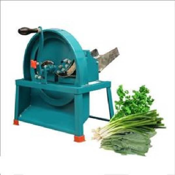 Industrial Bhaji Machine