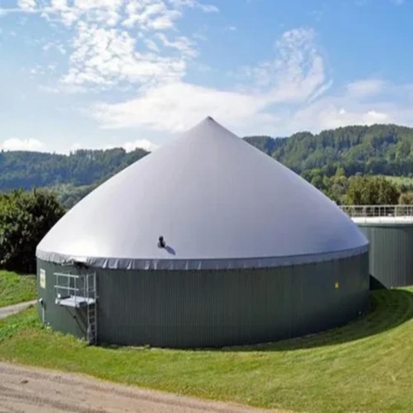 Biogas Storage Balloon
