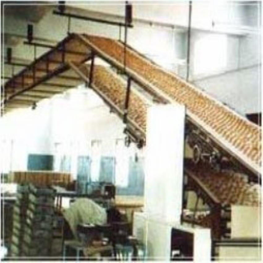 Biscuit Industry Belt Conveyor Machine
