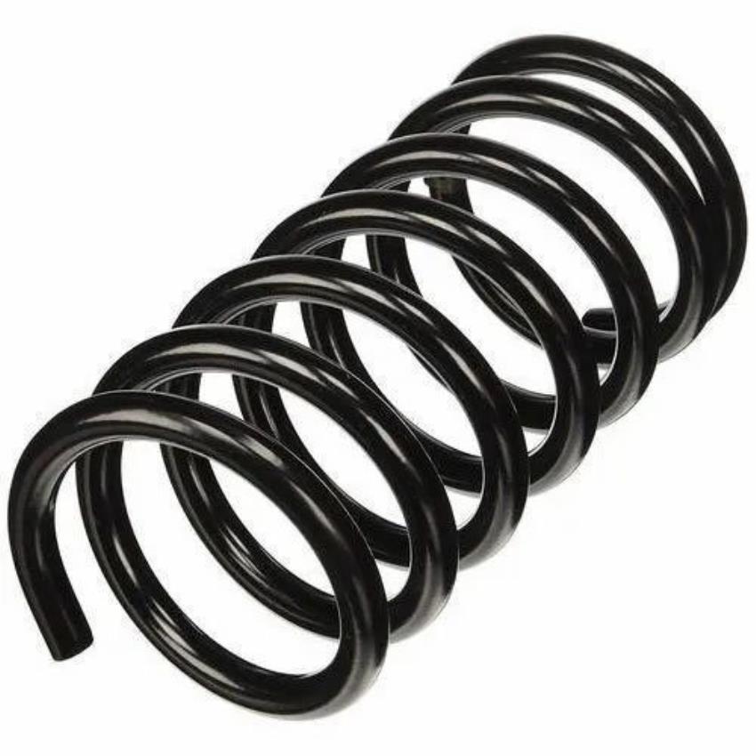 Black Rapier Coil Spring