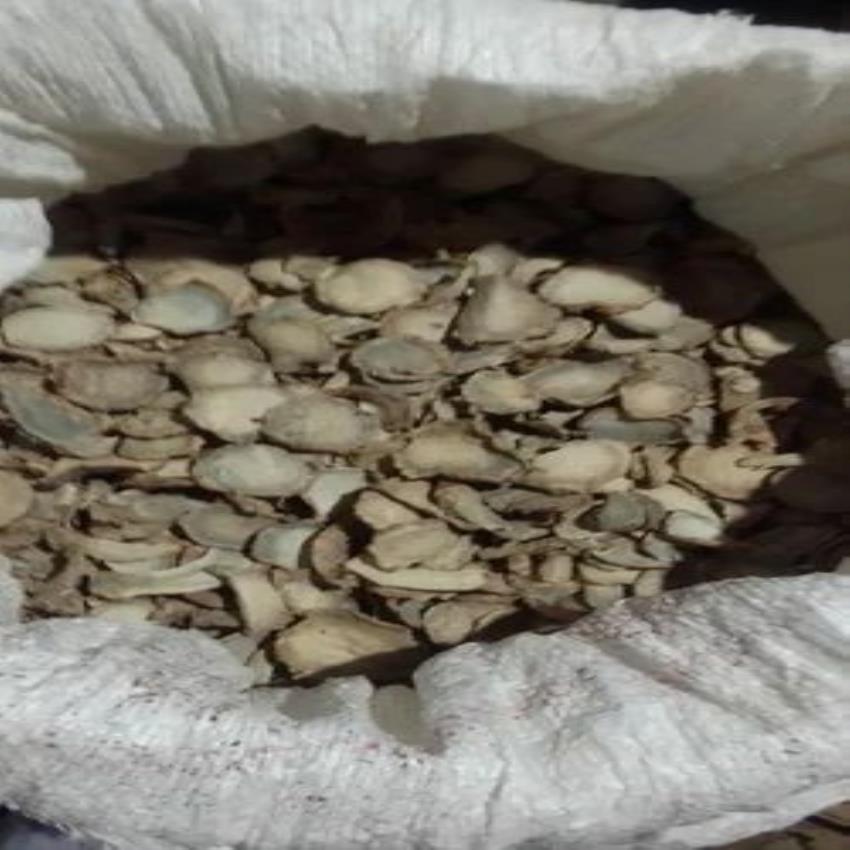 Black Turmeric Ground Powder