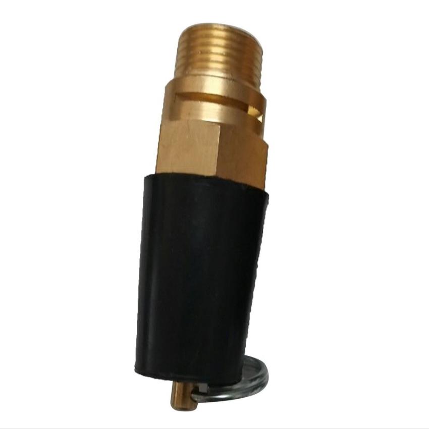 Brass Compressor Relief Valve