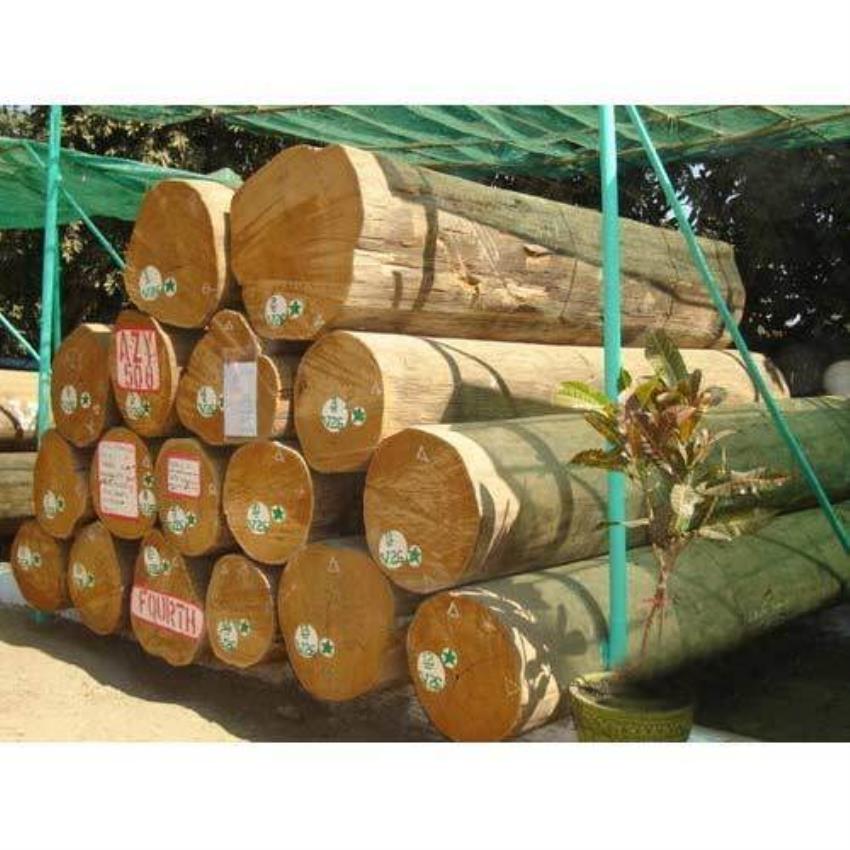 Burma Teak Wood Timber