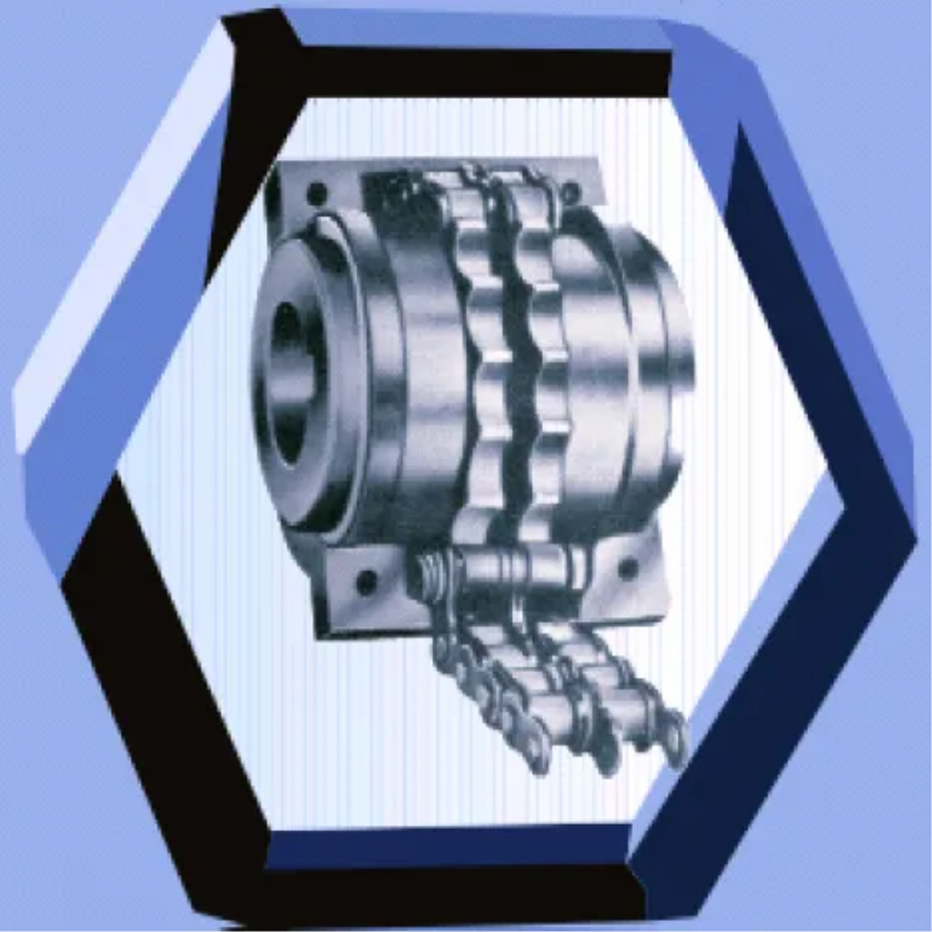 Carbon Steel Roller Chain Coupling