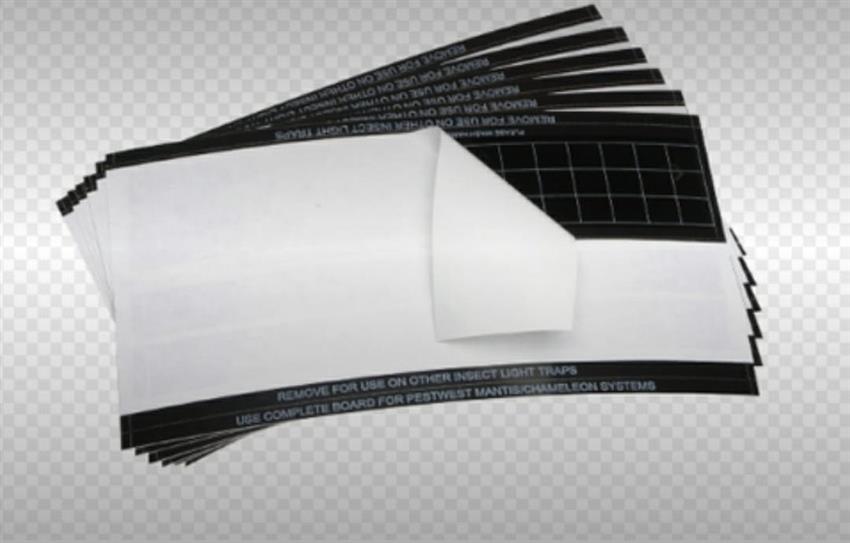 Yellow Cardboard Fruit Fly Trap