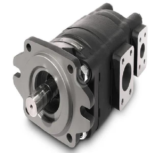 Casappa 2 HP DC Gear Pump
