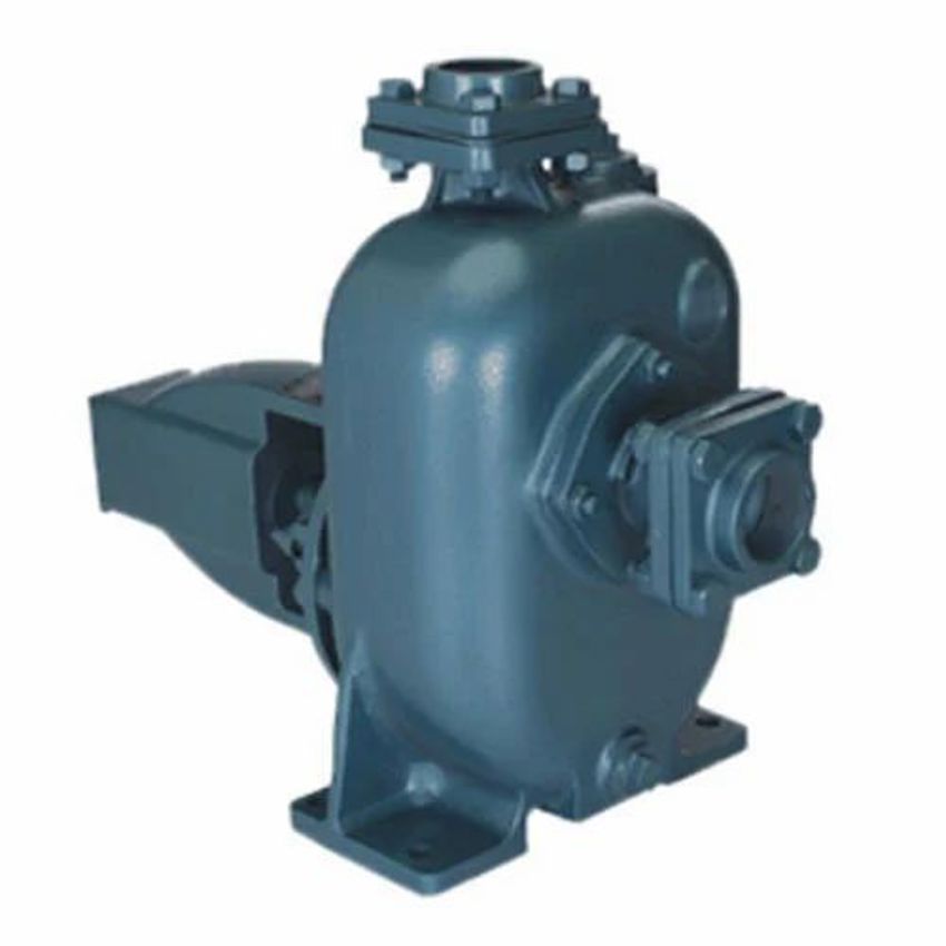 Cast Iron Semi-Auto Mud Pump, 240V