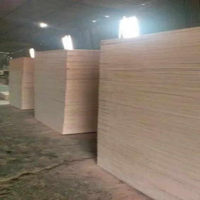 Century Standard Plywood