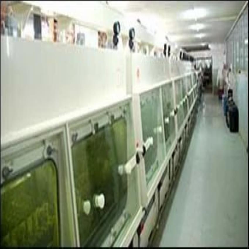 Industrial Chamber Etching Equipment