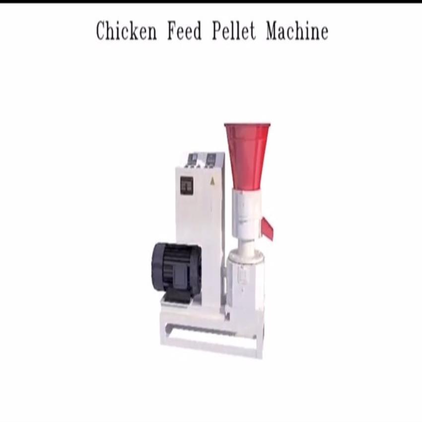 Standard Chicken Feed Pellet Equipment