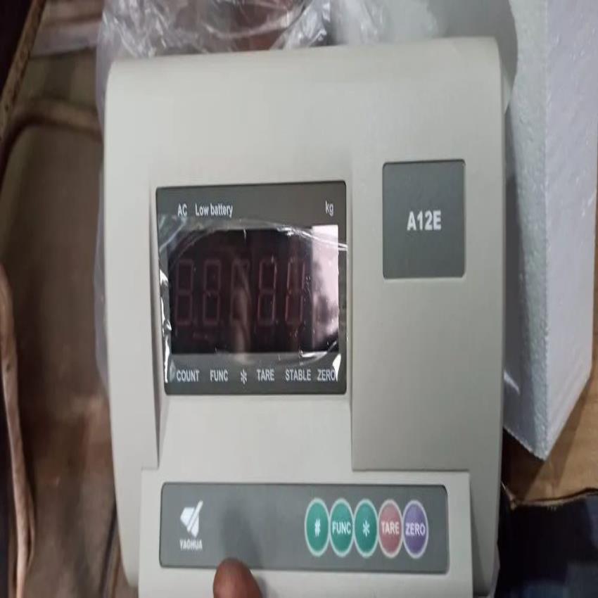 China Digital Weighing Load Cell Indicator A12E