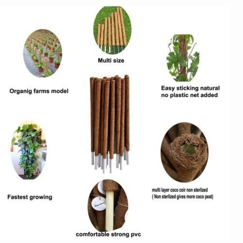 Coir Support Pole - Indoor Plant Creeper (Brown, 2 ft)