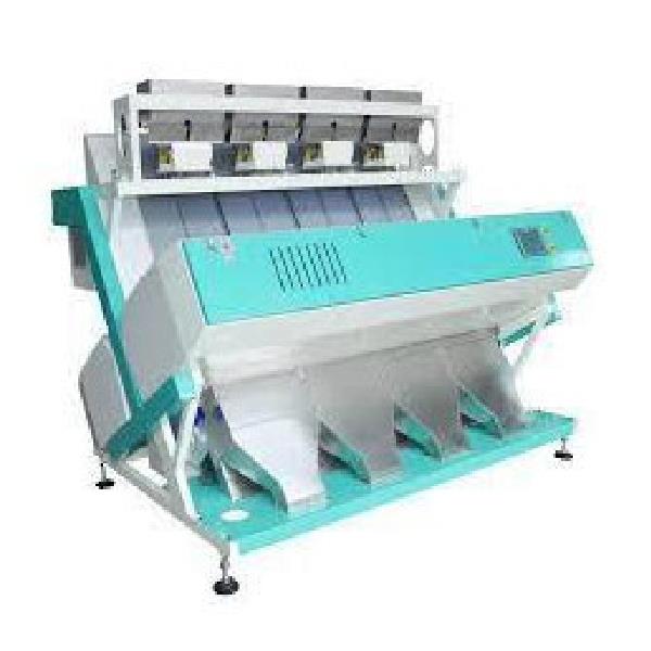 Industrial Color Sorting Machine