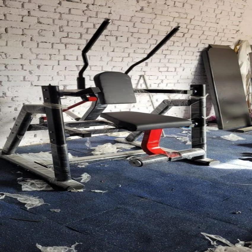 Commercial Abs Machine Hammer PFABSH