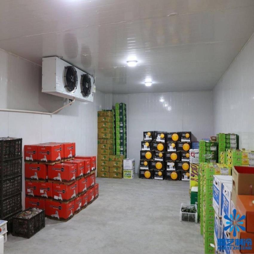 Commercial Automatic Fruit Cold Storage Rental