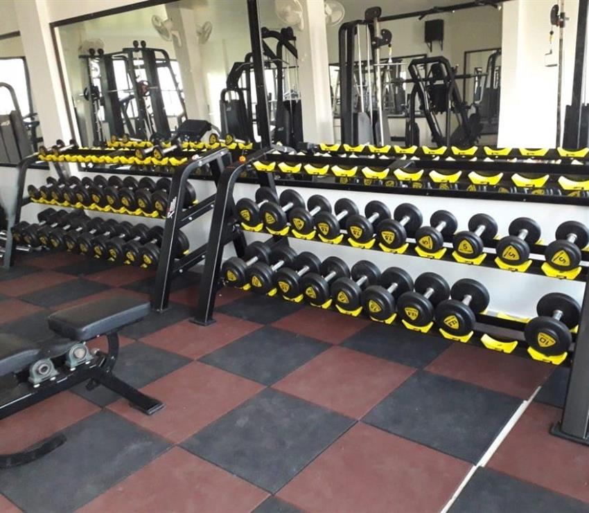 Commercial Chest Dumbbell Rack