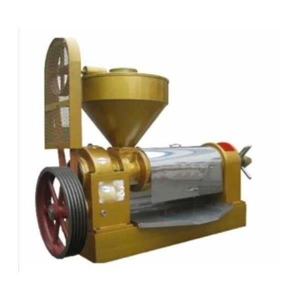 Commercial Cold Oil Press Machine
