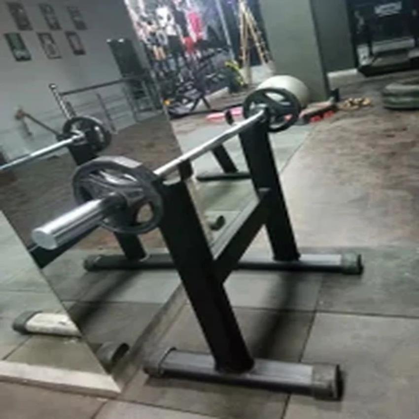 Commercial Olympic Barbell Stand GCS-361