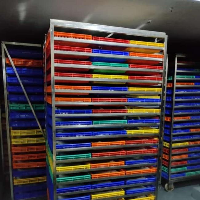 Commercial Plate Freezer