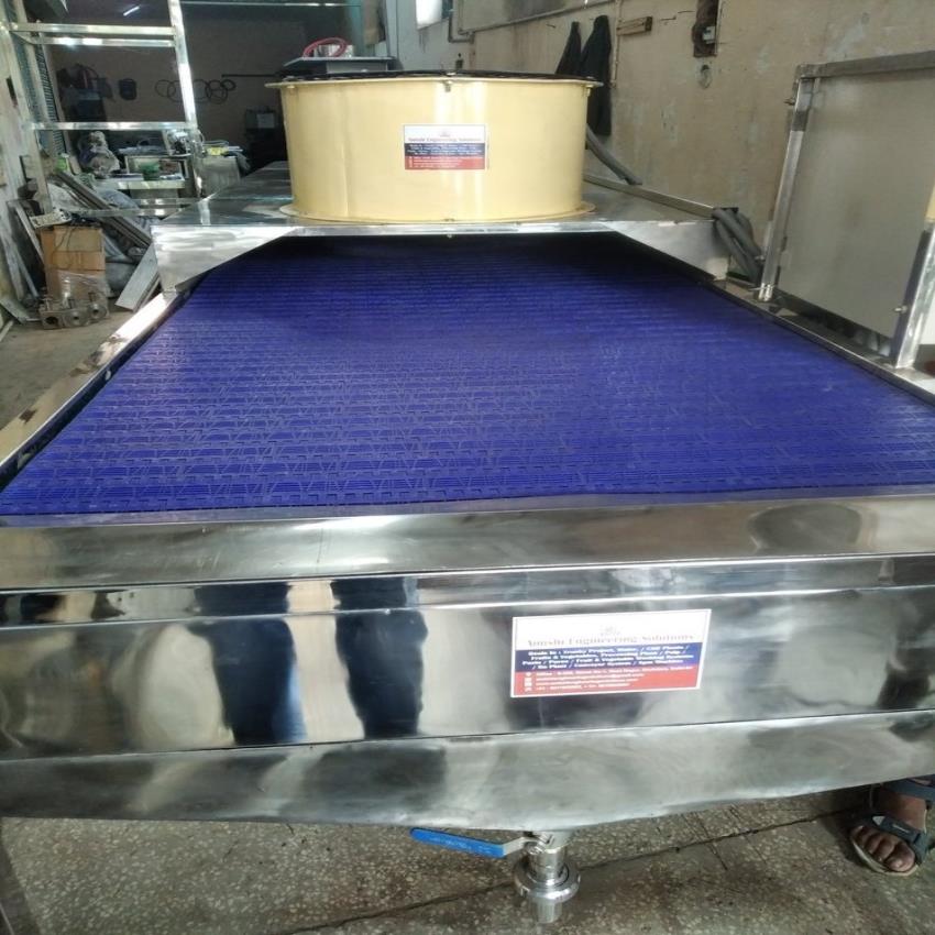 Continuous Automatic Fruit & Vegetable Dryer