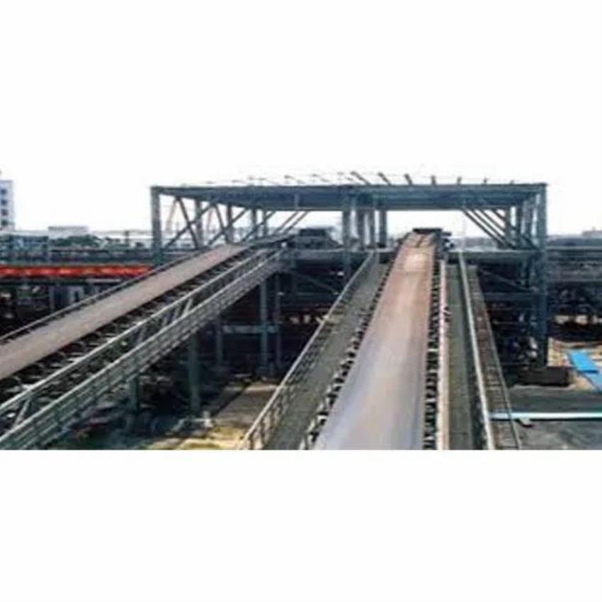 Corrosion-Resistant Steel Flexible Conveyor