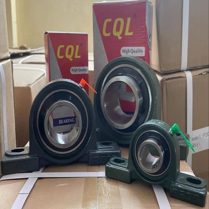 Chrome Steel Pillow Block Bearing Unit
