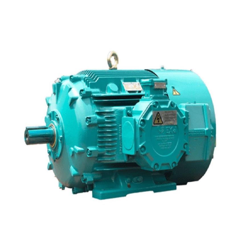 Crompton 2HP Agriculture Flameproof Motor