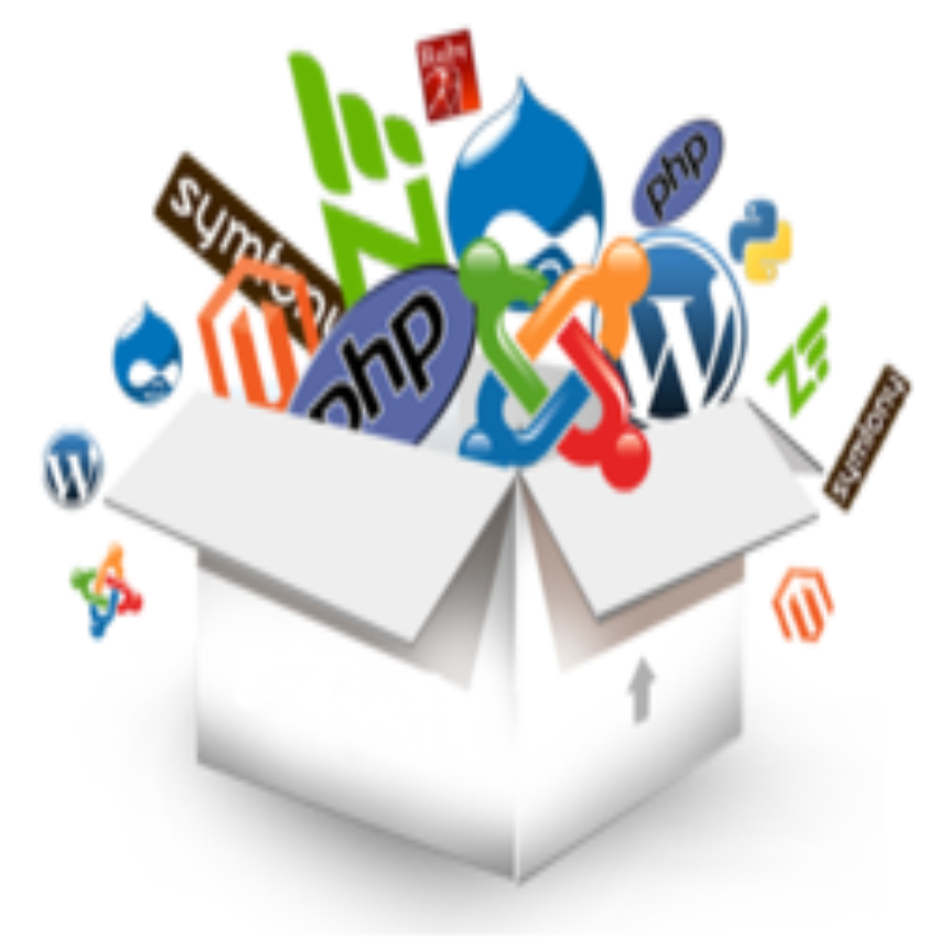 Custom Software Engineering