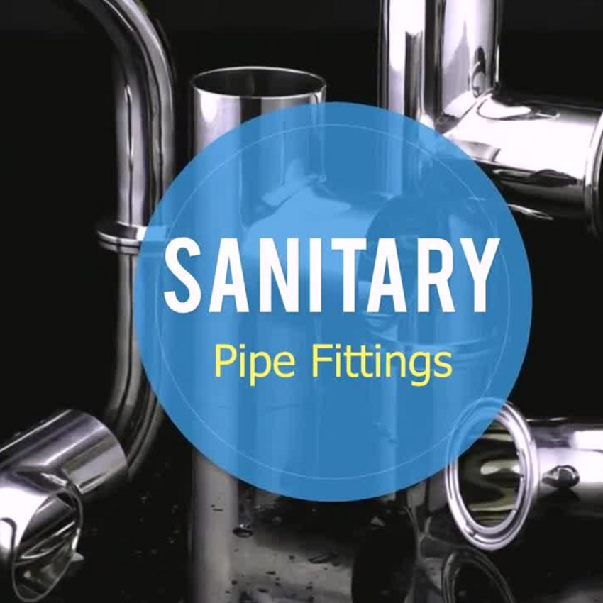 Dairy Pipe Line Erection Service