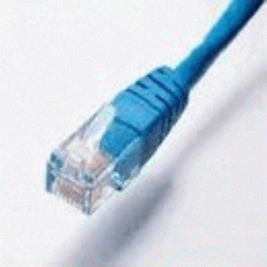 Data and Voice Network Service