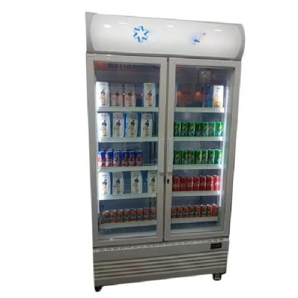 Upright Double Door Visi Freezer