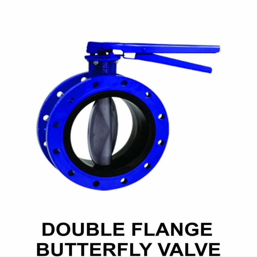 Dual Flanged Valve
