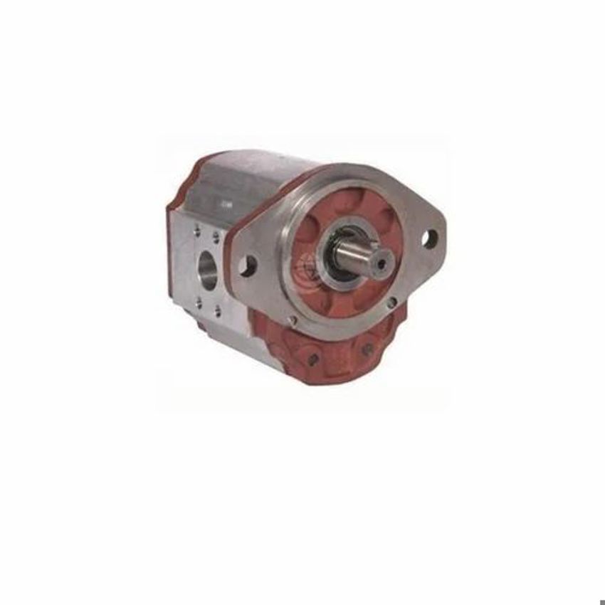 Dwoty External Gear Pump, 1 HP