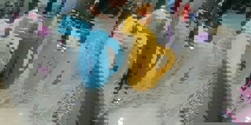 Electric Fabric Steamer