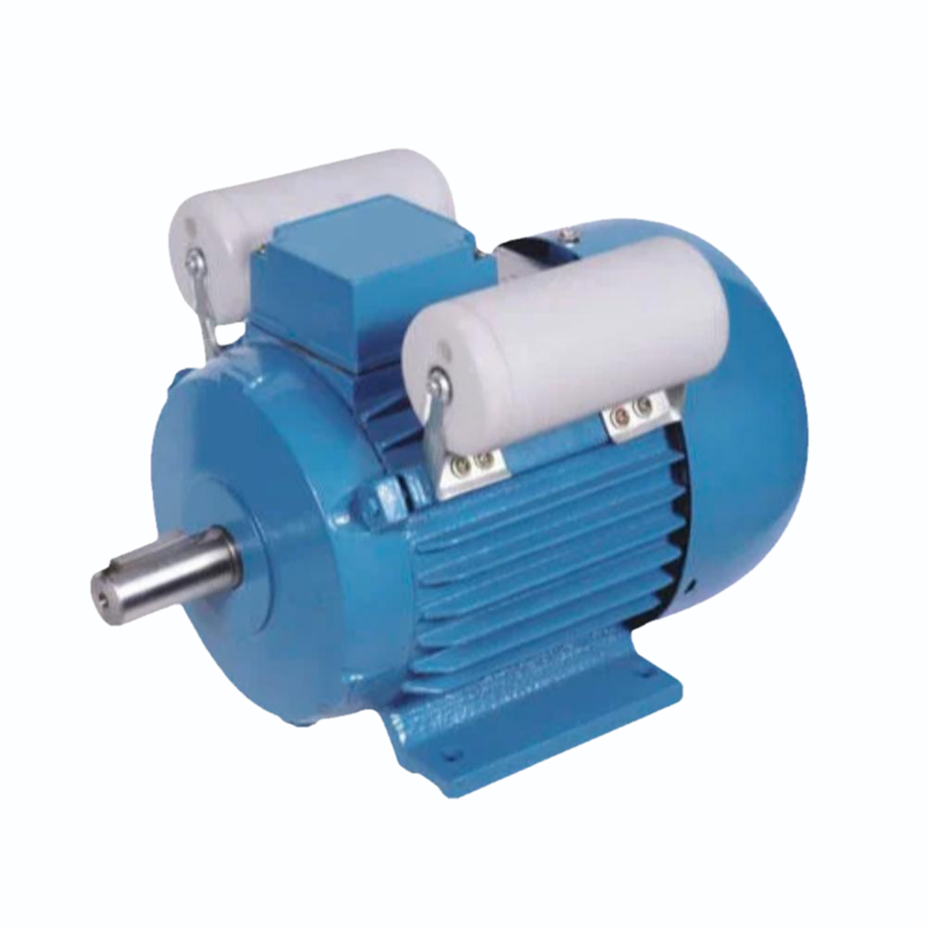 Electric Induction Motor