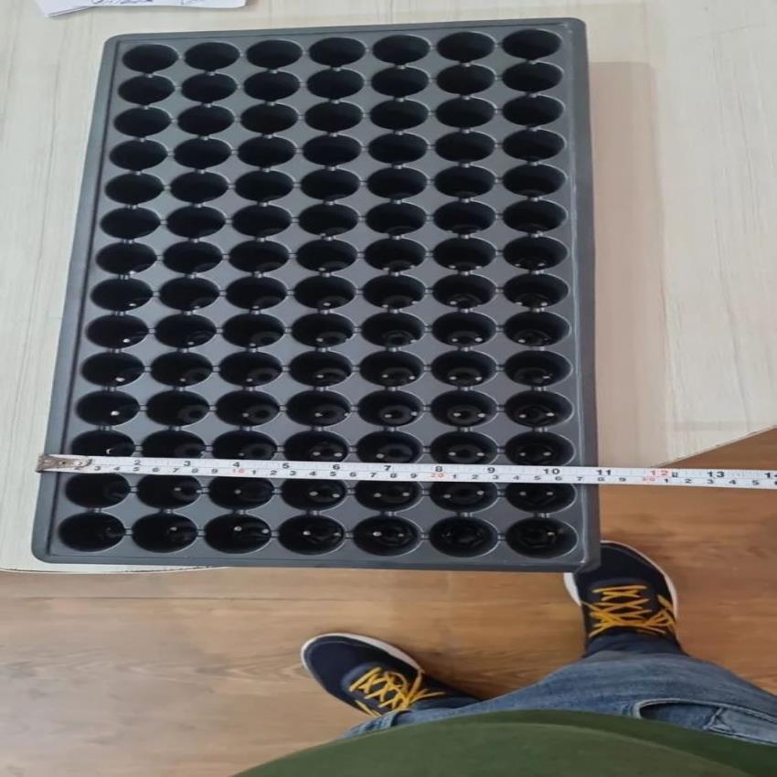 Electric Nursery Tray Manufacturing Machine