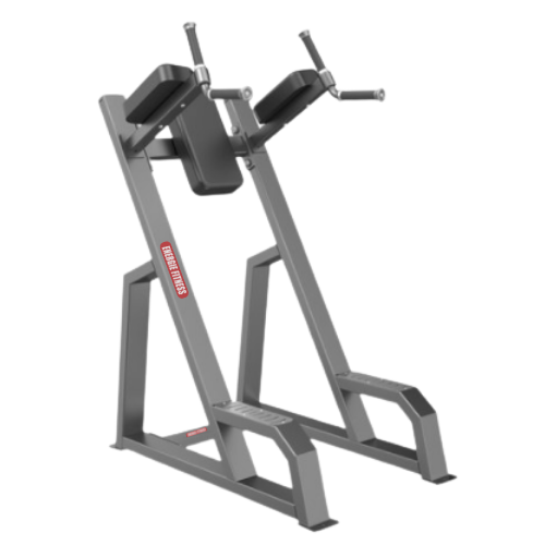 Energie Fitness Commercial Knee Raise & Dip Machine