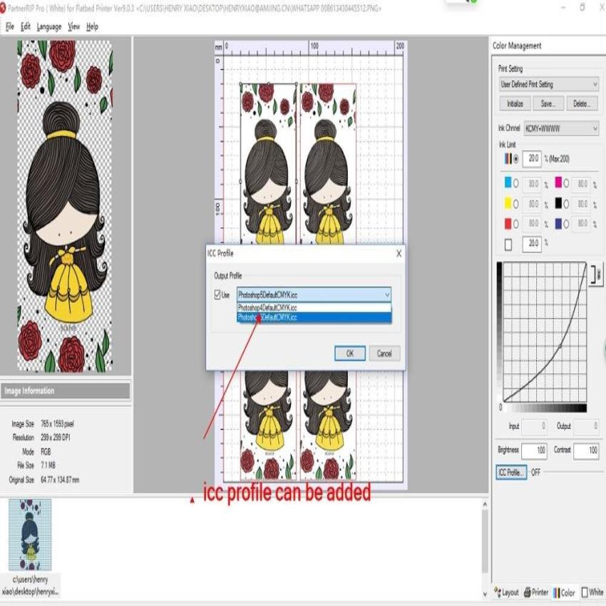 Epson 3 UV Printer Software