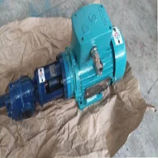 AC Powered Rotary Gear Pump