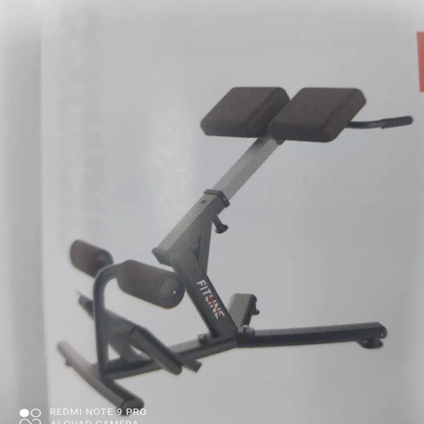 Fitline Roman Chair Exercise Machine