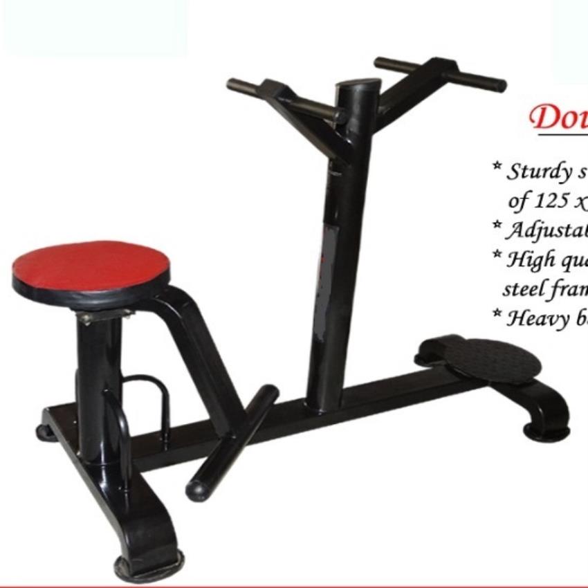 Fitness Double Twister