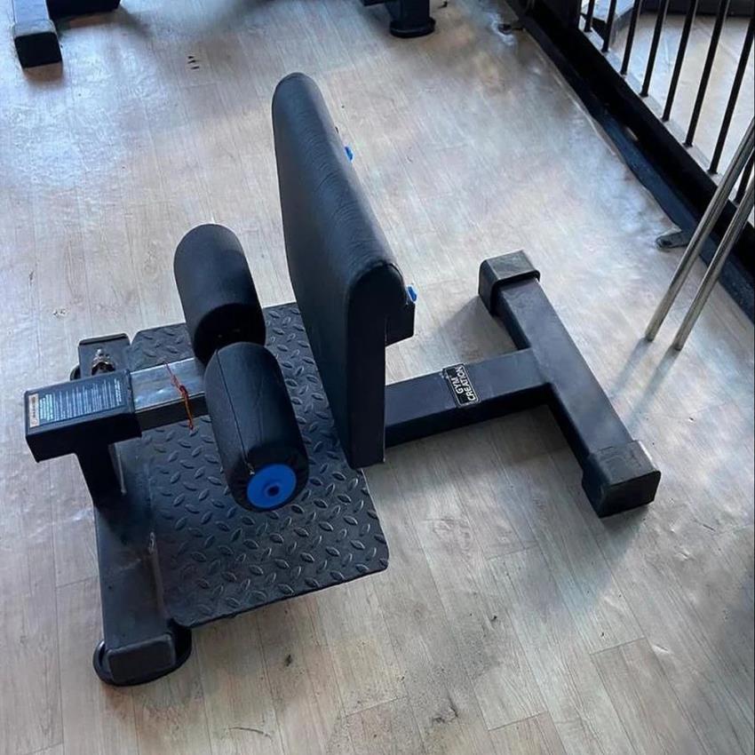 Fitness Sissy Squat Equipment