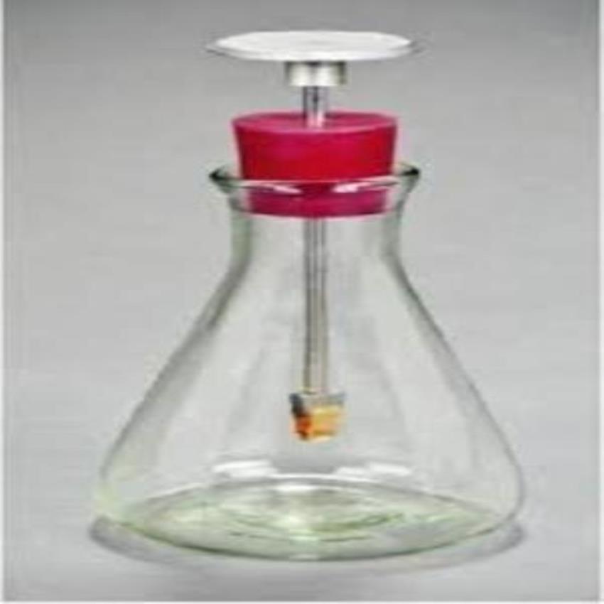 Flask Type Electroscope