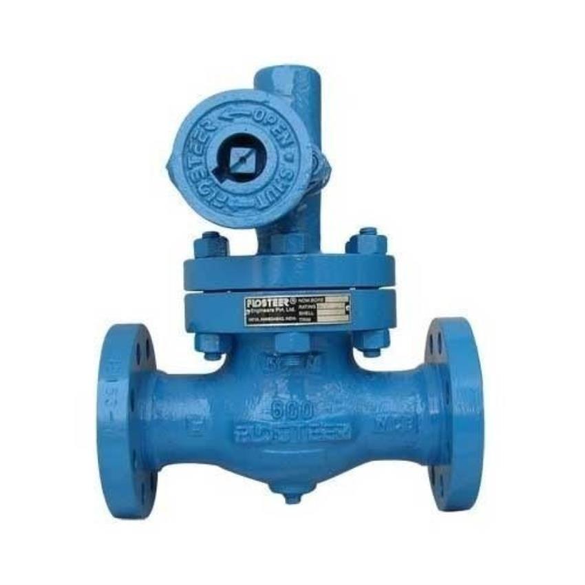 Flosteer Flanged Cast Steel Valve