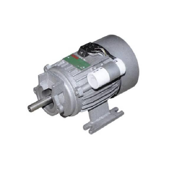 Flour Mill Electric Power Motor