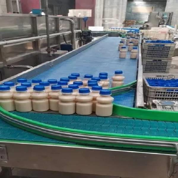 Food Grade Belt Conveyor Machine