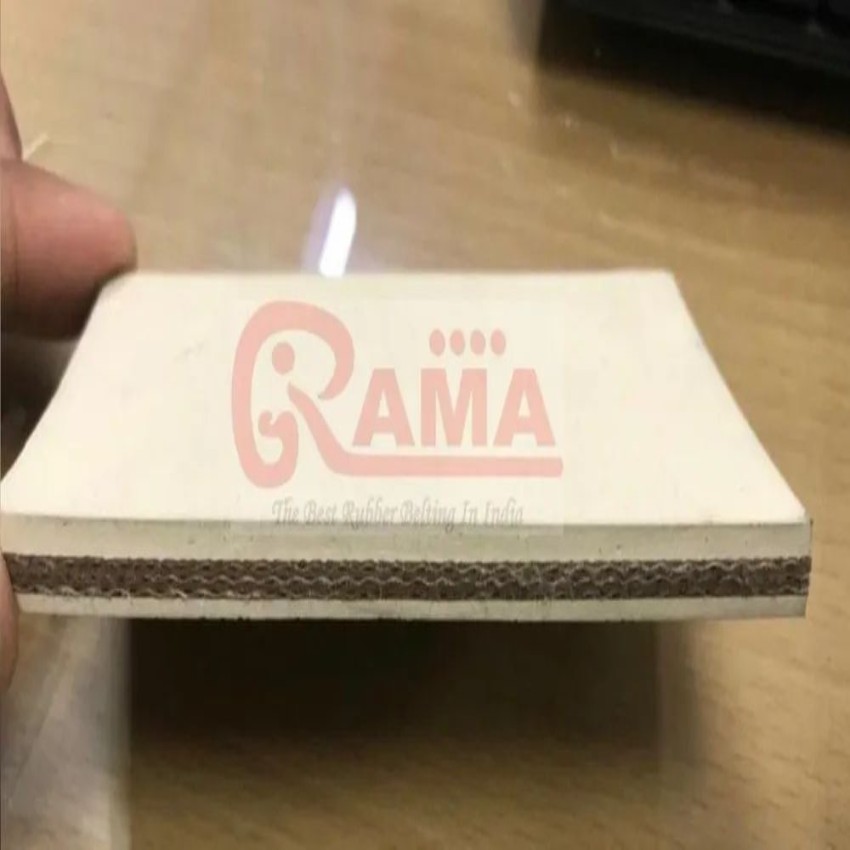 Food Grade Conveyor Belt Equipment