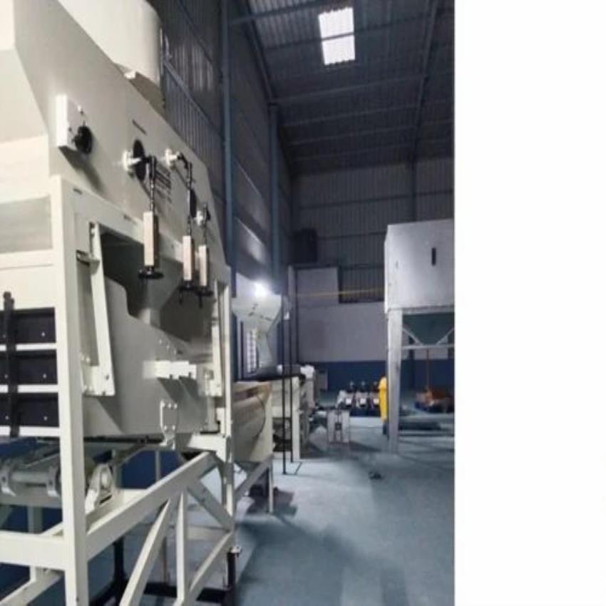 Food Sorting Machine